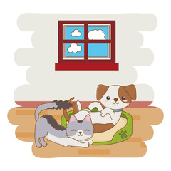 Cat and dog cartoon design