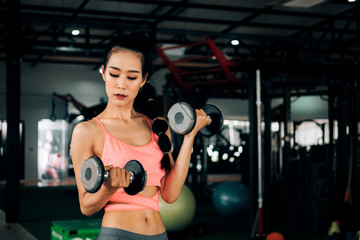 sport woman at fitness gym club doing exercise for arms with dumbbells and showing muscle bodybuilding, fitness concept, sport concept
