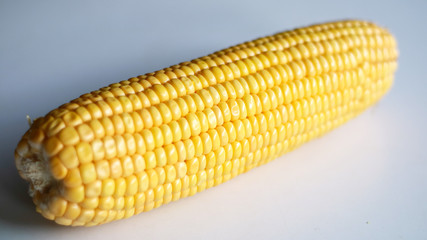 Peeled yellow corn cob on white background.