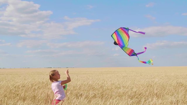 Pretty girl playing with kite in wheat field on summer day. Childhood, lifestyle concept.