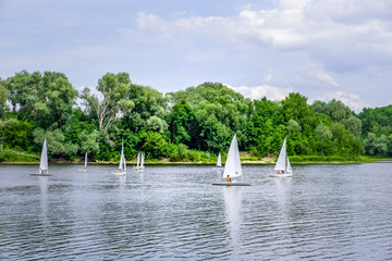 Sailboats with white sails in a river