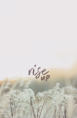 Motivational quote poster with typographic text "Rise up", for positive thinking, on nature background, white flowers field. Low contrast, low saturation, shades of grey.