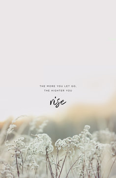 Miminalist quote design with typography "The more you let go, the highter you rise", motivational text  on nature background, white flowers field. Low contrast, low saturation, shades of grey.
