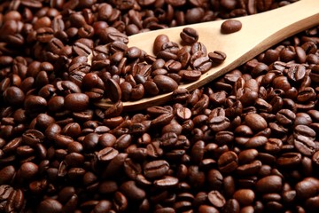 Coffee beans with a scoop