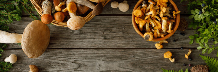 Mushrooms on old wooden background. Card on autumn or summertime. Forest harvest. Boletus, chanterelles, leaves, berries. Flat lay.Banner.