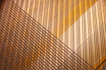 The strings of a musical instrument