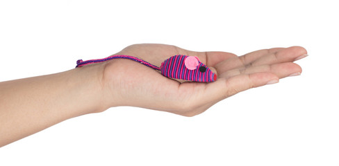 Hand holding Cat toys pet mouse isolated on white background