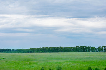Green background with a beautiful lawn and blue sky