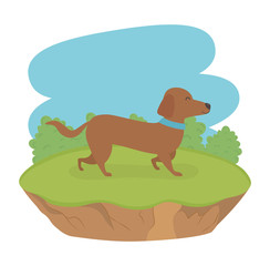 cute little dog mascot in the field character