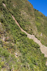 View of the famous llama terraces with white stone llamas in Choquequirao archeological site ruins,...