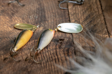minnow lures, silver and gold tackle for fishing © Don Mroczkowski