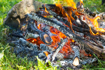 burning firewood and smoke, panoramic closeup shot