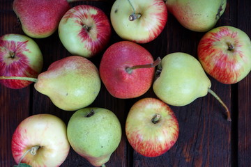 apples and pears on a dark background