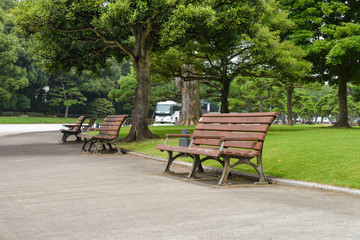 empty park bench in the garden