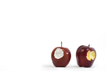 Fake styrofoam apple next to a real apple with bites taken from both against white background with...