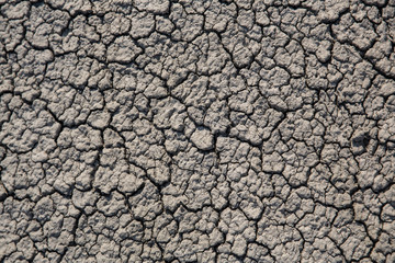 Cracked earth background. Close up cracked earth background