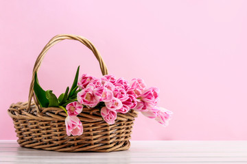 Fototapeta na wymiar Huge bouquet of pink tulips in wicker basket