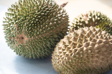 Naklejka na ściany i meble Malaysia famous fruits Blackthorn durian