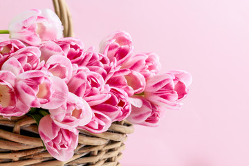 Huge bouquet of pink tulips in wicker basket