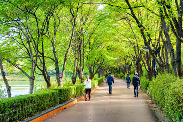 Fototapeta na wymiar Residents jogging and walking along park in Seoul, South Korea