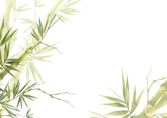 Watercolor illustration painting of bamboo leaves , on white background - obrazy, fototapety, plakaty