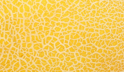 Texture, ripe melon.