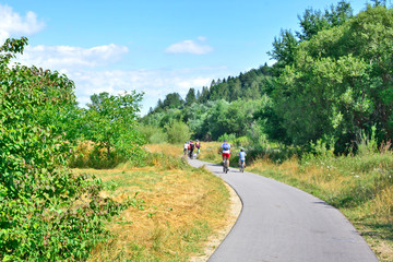 Group of cyclists going on the bike path in the countryside in sunny summer day.