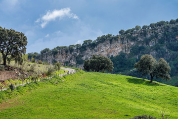 Landscape of Sierra de Grazalema natural park, Cadiz province, Andalusia, Spain.