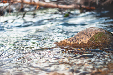 Ripples of Fast Mountain River around Big Boulder with Green Moss and Blurred Fallen Birch Tree Trunk in Background.