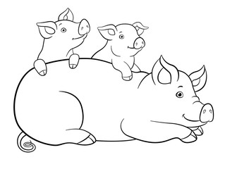 Coloring pages. Mother pig with her two little cute piglets.