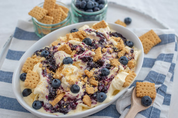 home made vanilla cheesecake ice cream with blueberries and cookies on a old table