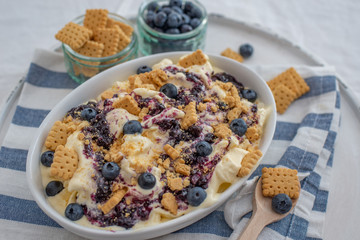 home made vanilla cheesecake ice cream with blueberries and cookies on a old table