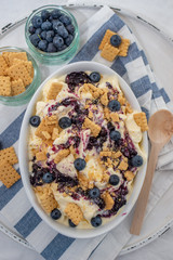home made vanilla cheesecake ice cream with blueberries and cookies on a old table