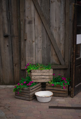 Fototapeta na wymiar Blumen in Holzkisten vor einer alten Holztür