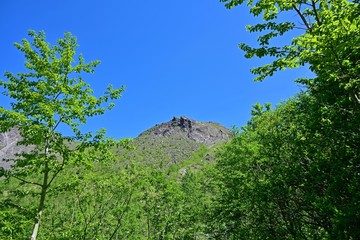 新緑の若葉と有珠山のコラボ＠北海道