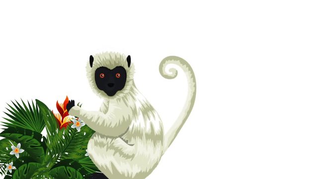 exotic monkey in tropical animation