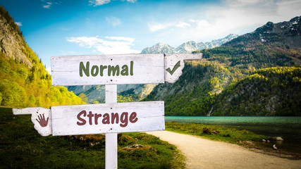 Obraz premium Street Sign Normal versus Strange