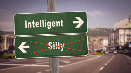 Street Sign Intelligent versus Silly