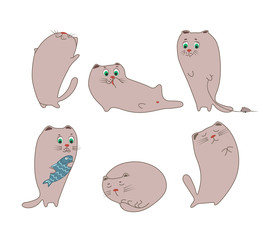 Cute fun grey cat in vector set with mood of sadness, happiness, pleasure, sleeping, washing.