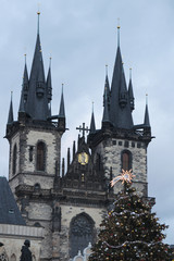 Fototapeta premium The Tyn Cathedral, Prague, and a decorated Christmas tree 