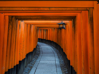Fushimi Inari Shrine Japan