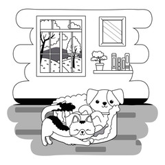 Cat and dog cartoon design vector illustrator