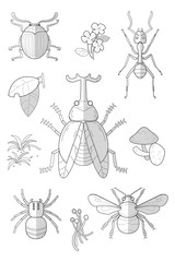 vector set of insect.