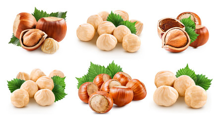 Hazelnuts isolated on white