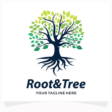Root and Tree Logo Design Template