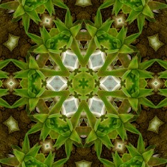 kaleidoscope background design in the shape of flowers