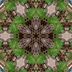 kaleidoscope background design in the shape of flowers