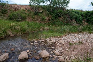 Forest in the village of Valvona de Teruel