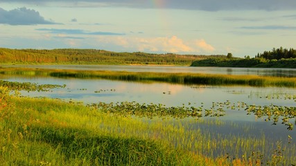 Fototapeta premium landscape with river and blue sky