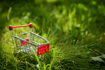   Little metal basket on the green grass . Cart hand